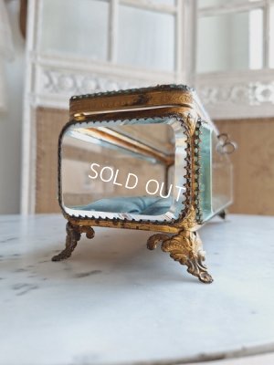 画像10: アンティーククッション付ガラスケース