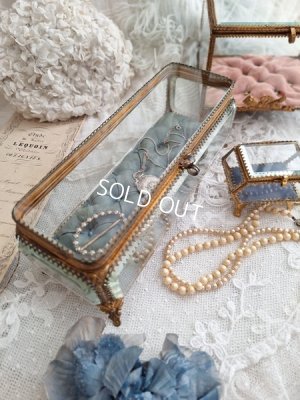 画像20: アンティーククッション付ガラスケース