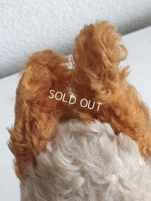 画像9: アンティーク車輪付きドッグ