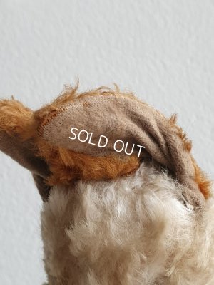 画像10: アンティーク車輪付きドッグ