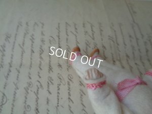 画像5: Hertwig & Coうさぎミニョネット