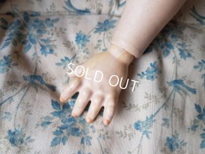 画像3: アーモンドマルセルビスクドールAM390