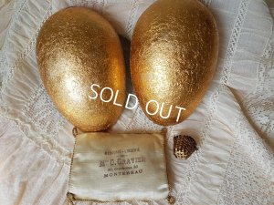 画像10: UNIS FRANCEミニョネット