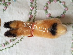 画像5: シュタイフ小さなうさぎ