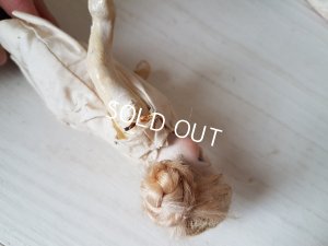 画像8: アンティ―クミニョネット