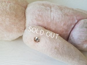 画像5: フレンチピンクテディベア