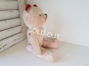 画像7: フレンチピンクテディベア