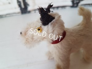 画像11: ボックス付テリア犬ドール