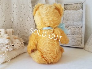 画像5: ペディグリー社テディベア