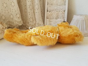 画像9: ペディグリー社テディベア