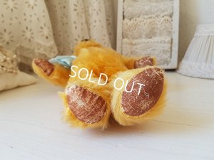 画像12: ペディグリー社テディベア