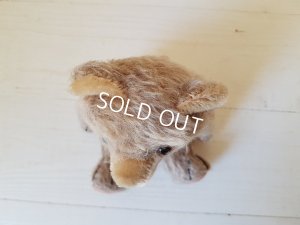 画像12: アンティークテディべア