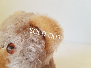 画像6: アンティークテディべア