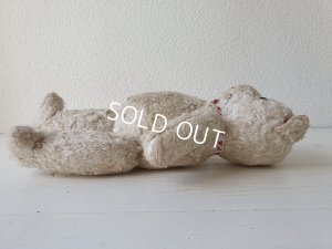 画像9: フレンチホワイトテディベア