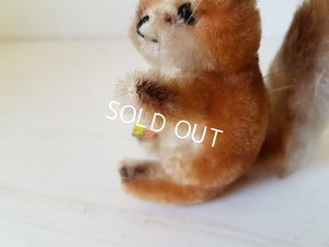 画像5: シュタイフ社りすPossy