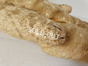 画像7: アンティ―クテディベア