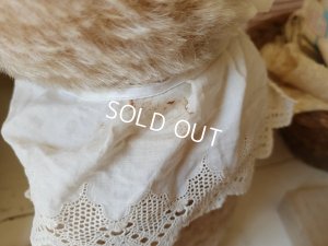 画像19: ハーマン社テディベア