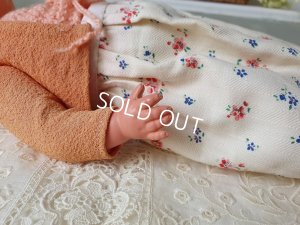 画像6: シルトクレートセルロイドドールInge