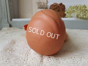 画像9: シルトクレートセルロイドドールInge