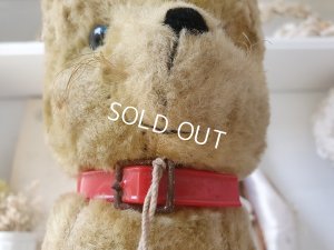 画像3: アンティークフランスドッグ