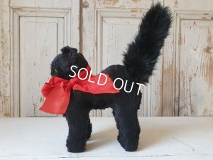 画像10: 黒猫トムキャット