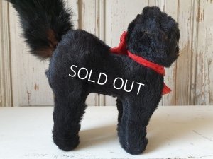 画像9: 黒猫トムキャット