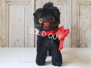 画像8: 黒猫トムキャット