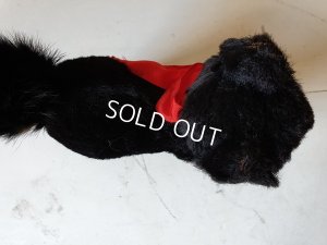 画像7: 黒猫トムキャット