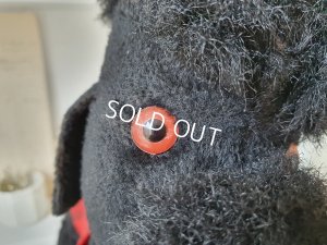 画像6: 車輪付きプードル