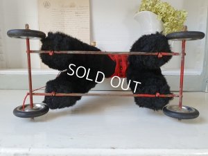 画像11: 車輪付きプードル