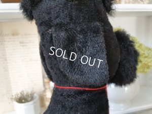 画像12: 車輪付きプードル