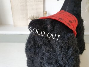 画像13: 車輪付きプードル