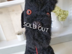 画像16: 車輪付きプードル