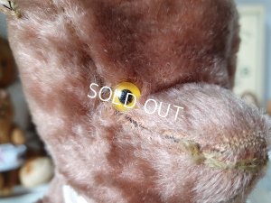 画像8: JPMフレンチテディベア