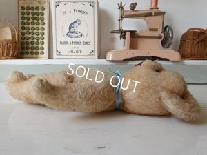 画像10: Jan Jac Parisテディテディベア