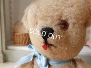 画像6: Jan Jac Parisテディテディベア