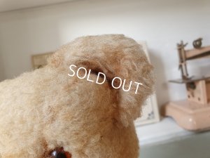 画像8: Jan Jac Parisテディテディベア