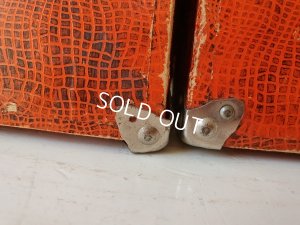 画像20: トランク付きSchildkröt社ingeセルロイドドール