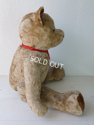 画像5: JPMフレンチテディベア