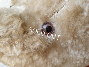 画像8: JPMフレンチテディベア