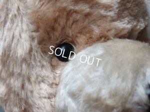 画像7: アンティークテディベア