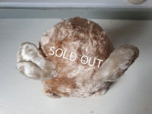 画像9: アンティークテディベア