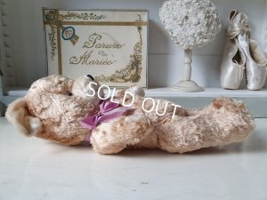 画像15: アンティークテディベア