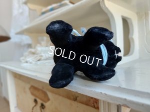 画像9: 黒猫トムキャット