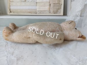 画像9: JPMピンクテディベア