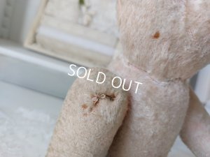 画像12: JPMピンクテディベア