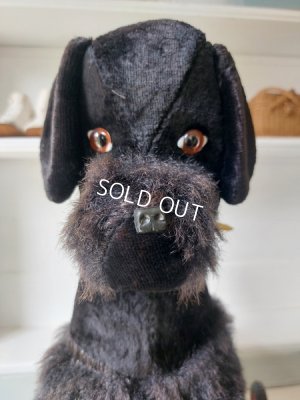 画像8: 車輪付きプードル