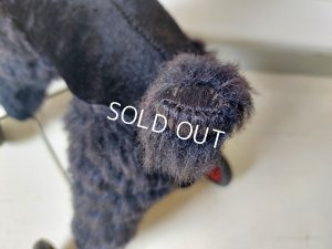 画像16: 車輪付きプードル