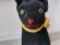 画像7: シュタイフ社の黒猫TomCat