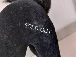 画像11: シュタイフ社の黒猫TomCat